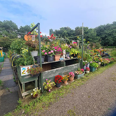 Photo of an allotment in Fleetwood